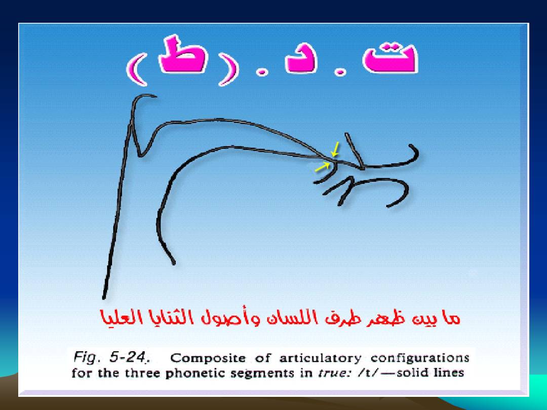 تجويد الحرف - مخارج الحروف